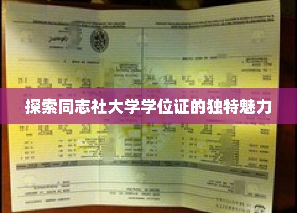 解码同志社大学学位证的非凡印记