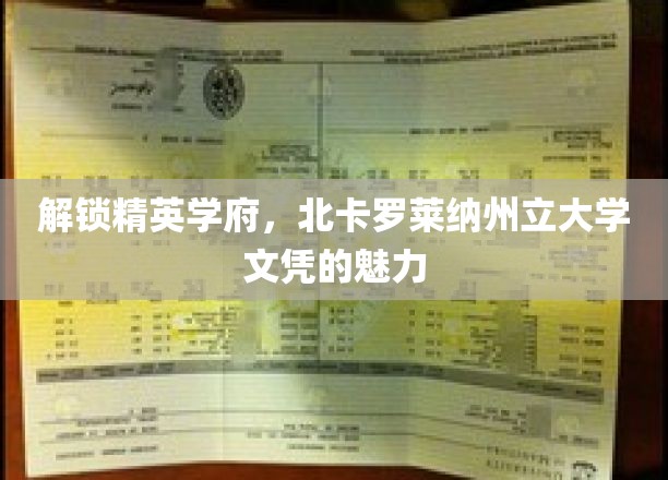 解锁精英学府，北卡罗莱纳州立大学文凭的魅力