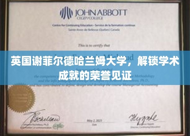 探索谢菲尔德哈兰姆大学，荣誉殿堂中的学术辉煌瞬间