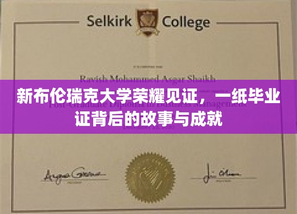 毕业证书背后的辉煌，新布伦瑞克大学荣耀之旅揭秘