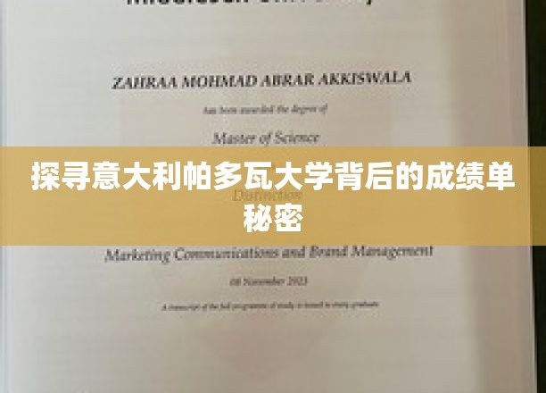 探索意大利帕多瓦大学背后的成绩单奥秘