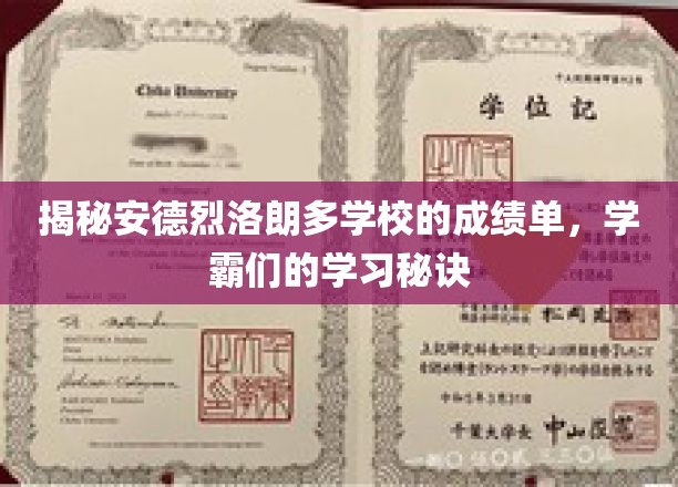 探秘学霸摇篮，安德烈洛朗多学校高分背后的秘密