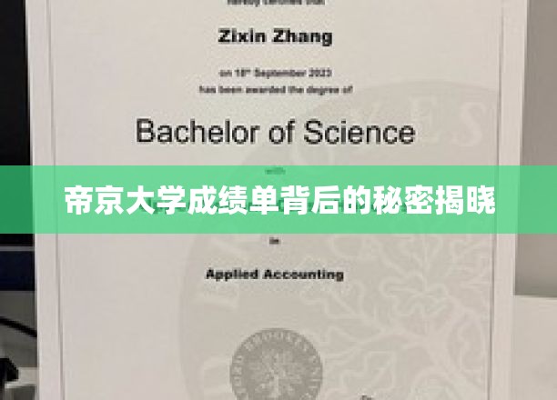 帝京大学成绩单隐藏的惊人真相曝光