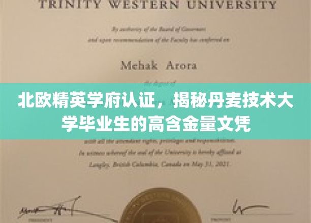 丹麦技术大学毕业生文凭，北欧精英学府认证，职场含金量一触即发