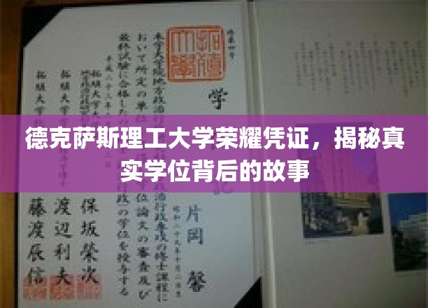 德克萨斯理工大学学位证之谜，探寻荣耀背后的真实故事