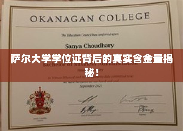 萨尔茨堡大学学位证背后的真实含金量揭秘！