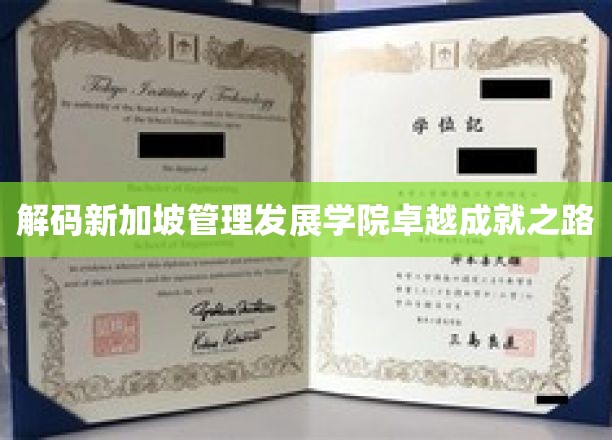 解码新加坡管理发展学院卓越成就之路