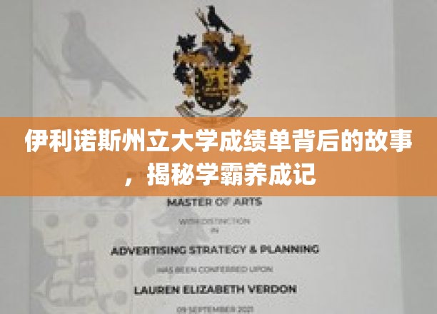 伊利诺斯学霸养成记，揭开隐藏在成绩单背后的精彩篇章