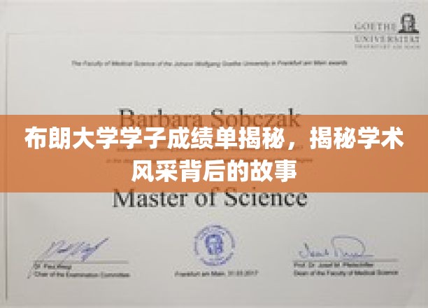 布朗大学学子成绩单揭秘，探寻学术风采背后的故事