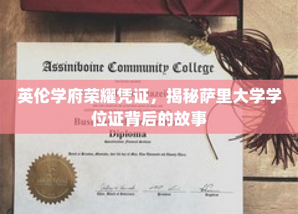 英伦学府荣耀凭证，揭秘萨里大学学位证背后的故事