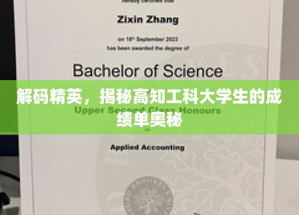 解码高知工科精英，揭开成绩单背后的智慧密码