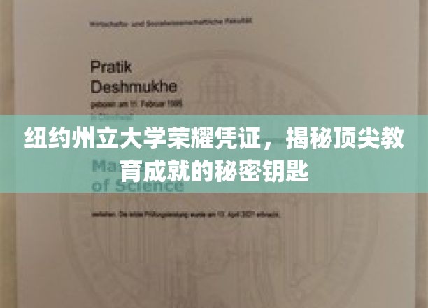纽约州大传奇，解锁顶级教育荣耀的非凡密码