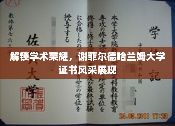 展现学术荣耀，谢菲尔德哈兰姆大学证书风采
