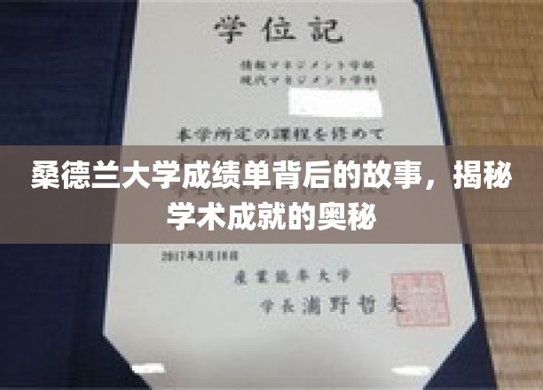 揭开桑德兰大学成绩单的神秘面纱，探寻学术辉煌的幕后秘密