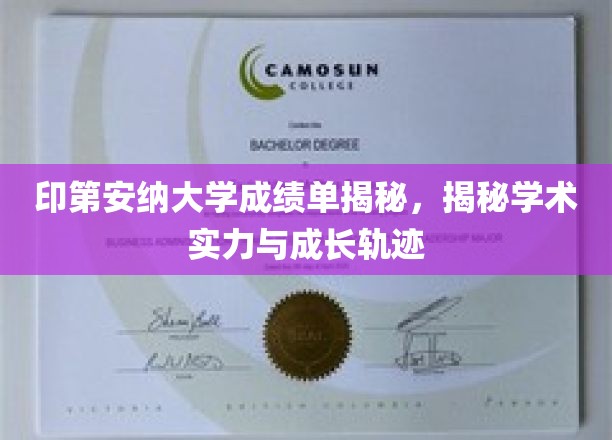 印第安纳大学成绩单揭秘，探究学术实力与成长轨迹