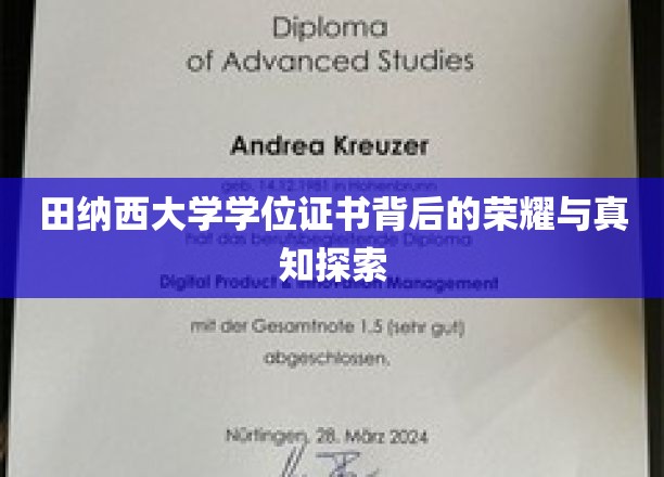 探寻田纳西大学学位证书的荣耀密码与知识深度