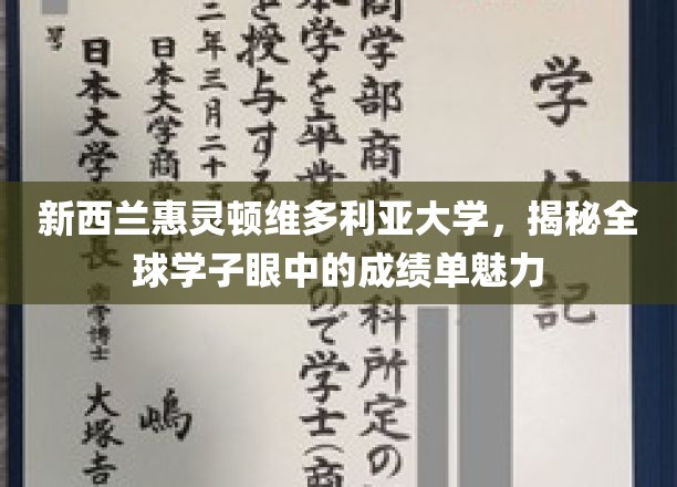 维大魅力揭秘，全球学子如何解读惠灵顿维多利亚大学的成绩单？