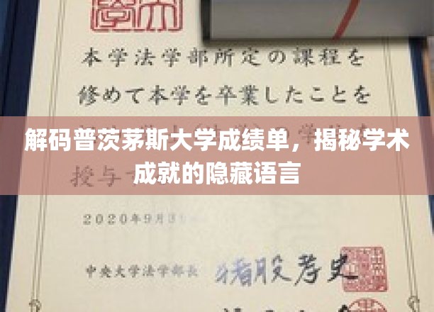 解码普茨茅斯大学成绩单，揭开学术密码的神秘面纱