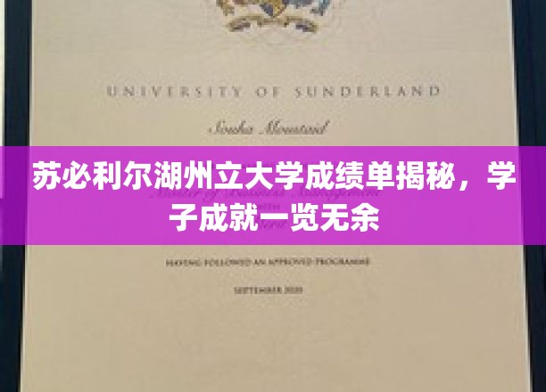 苏必利尔湖州立大学成绩单揭秘，学子成就一览无余