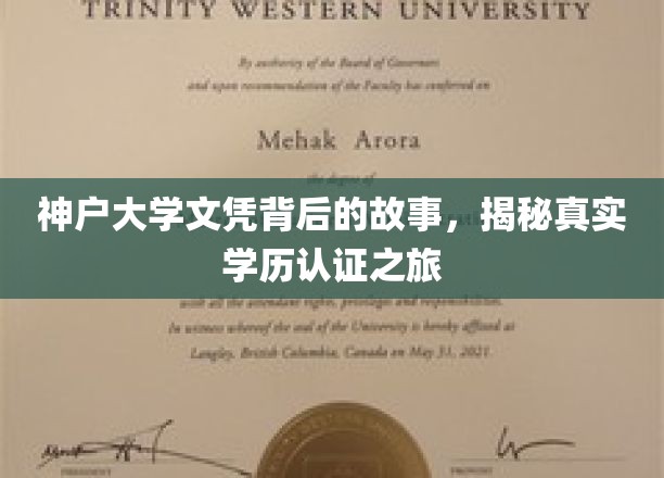 探寻神户大学文凭背后的传奇，揭秘学历认证的非凡旅程