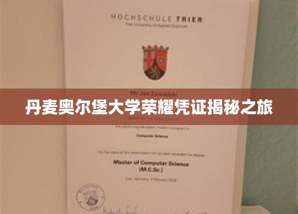 丹麦奥尔堡大学荣耀凭证揭秘之旅